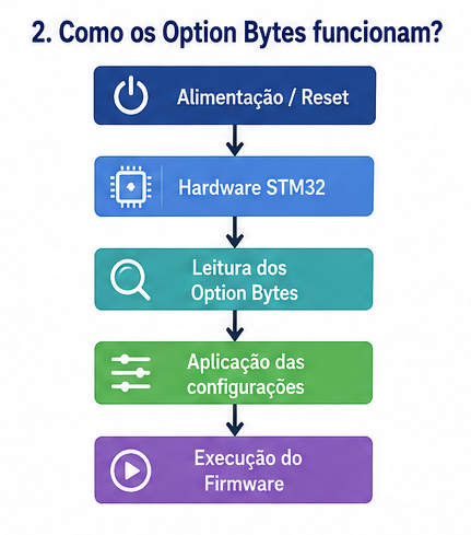 Funcionamento dos Option Bytes durante a inicialização